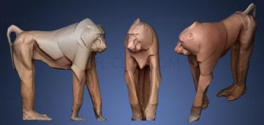 3D модель Бабуин бугатти (STL)